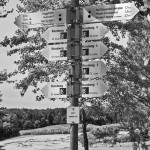 PM Bad Schussenrieder Wandertag Bild-1